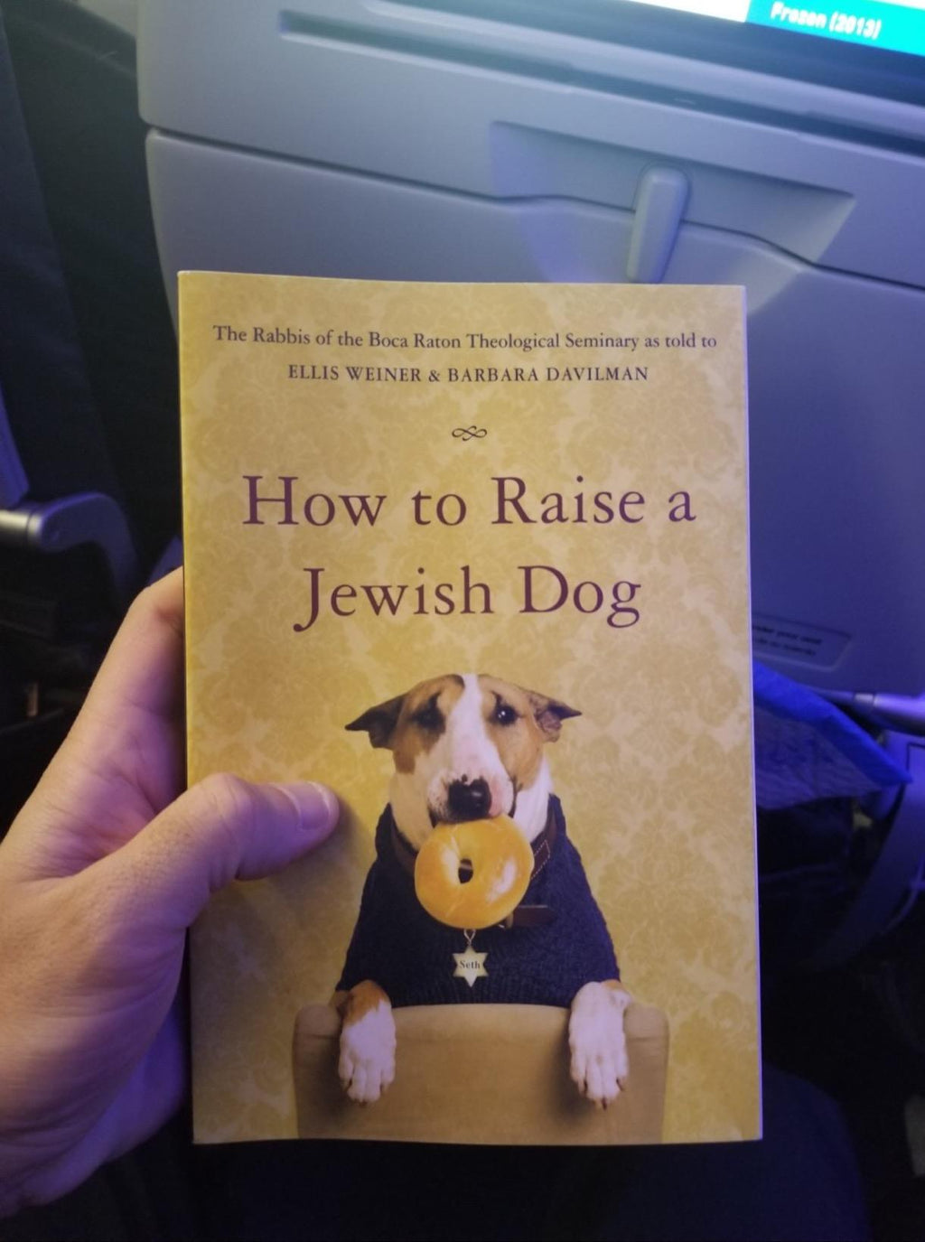 How to Raise a Jewish Dog – Humorous Judaica Book, Satirical Culture & Dog Lover Gift