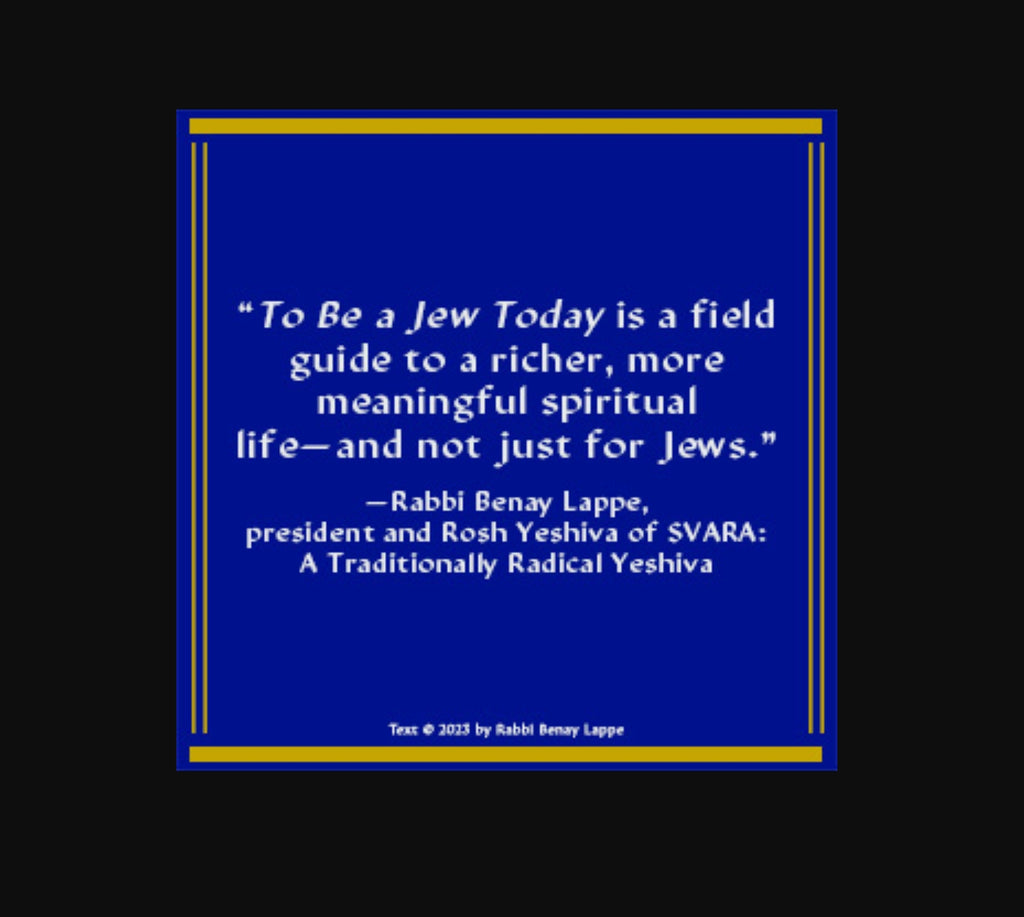 To Be a Jew Today: A Guide to God, Israel & Jewish Identity – Noah Feldman NYT Bestseller